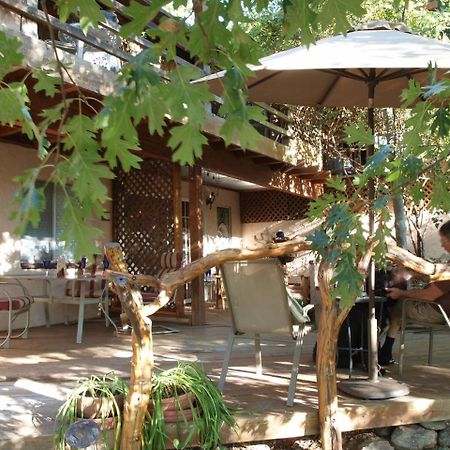 Wikiup Hummingbird Hotel Julian Luaran gambar