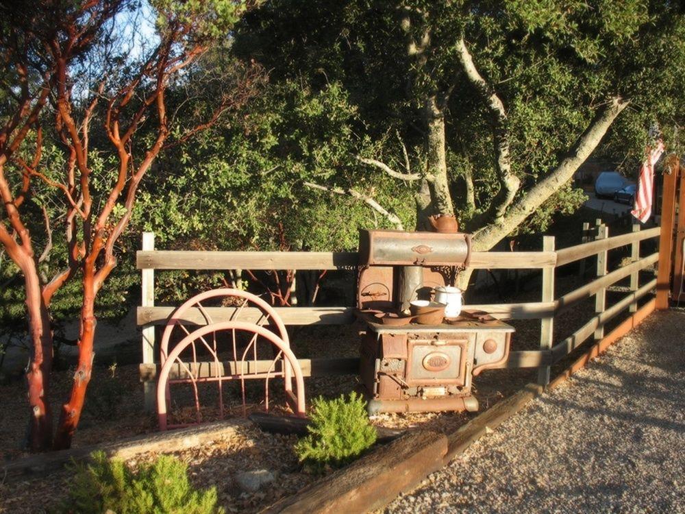 Wikiup Hummingbird Hotel Julian Luaran gambar