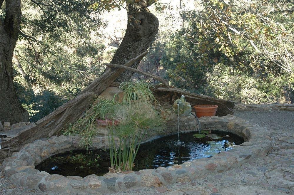 Wikiup Hummingbird Hotel Julian Luaran gambar