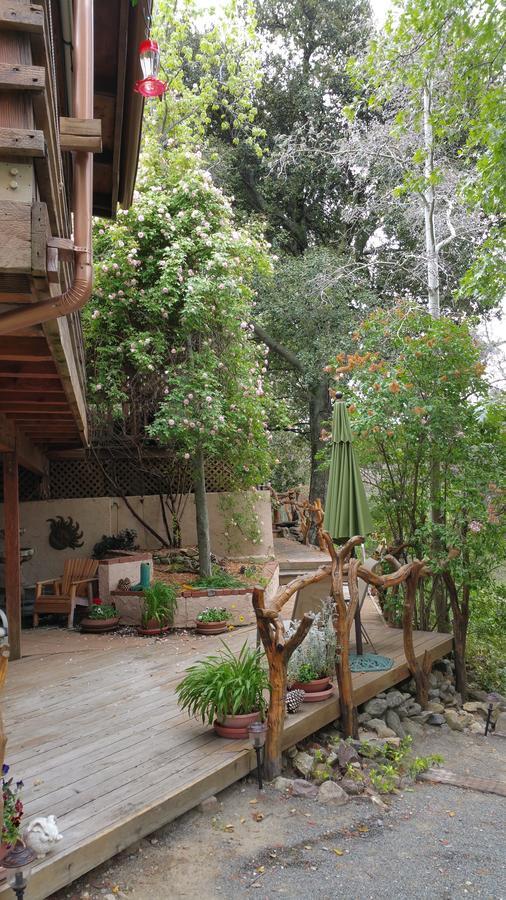 Wikiup Hummingbird Hotel Julian Luaran gambar