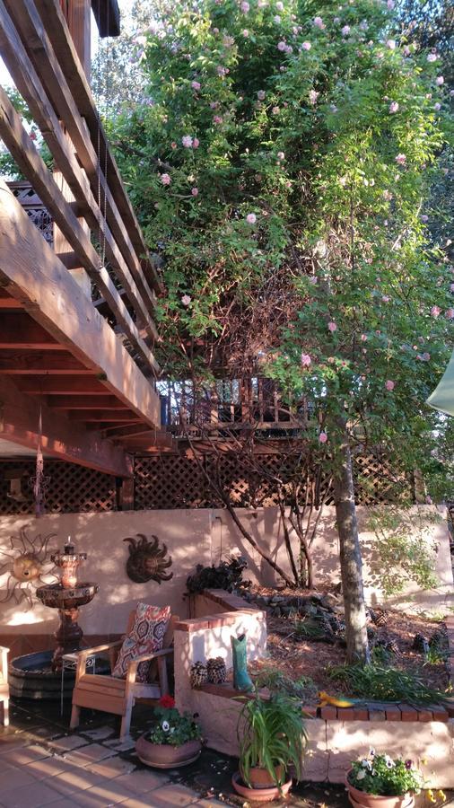 Wikiup Hummingbird Hotel Julian Luaran gambar