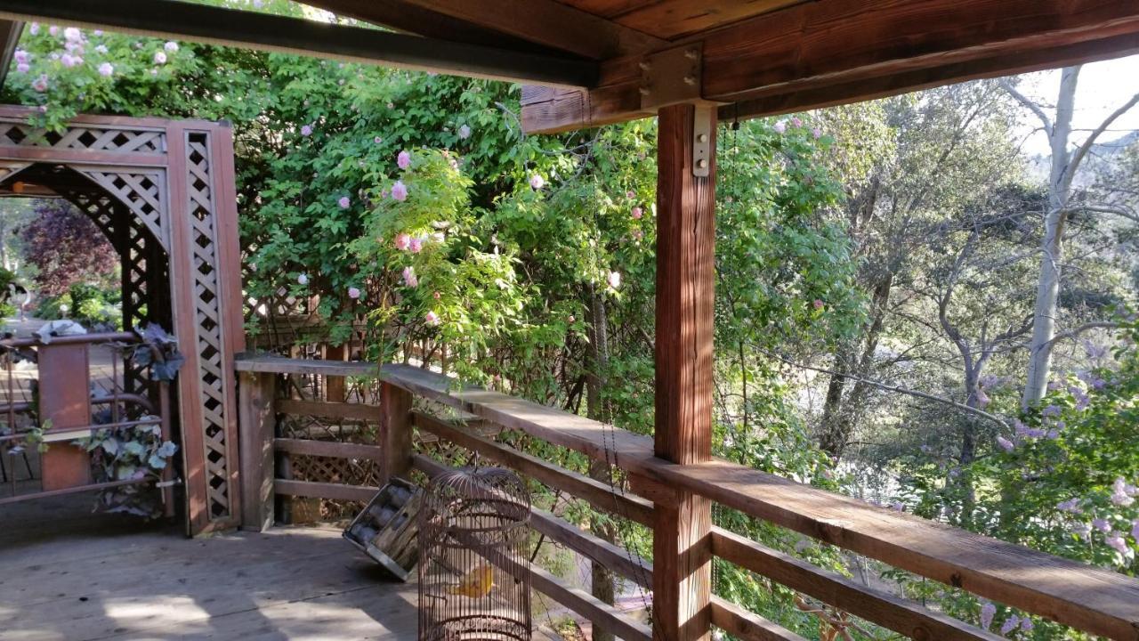 Wikiup Hummingbird Hotel Julian Luaran gambar